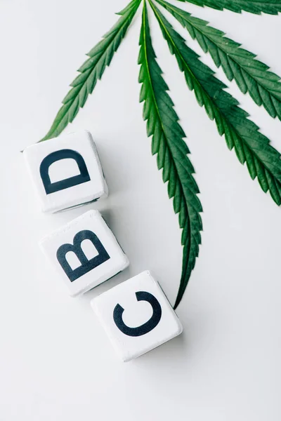 Vista superior de cubos con letras cbd y marihuana sobre fondo blanco - foto de stock