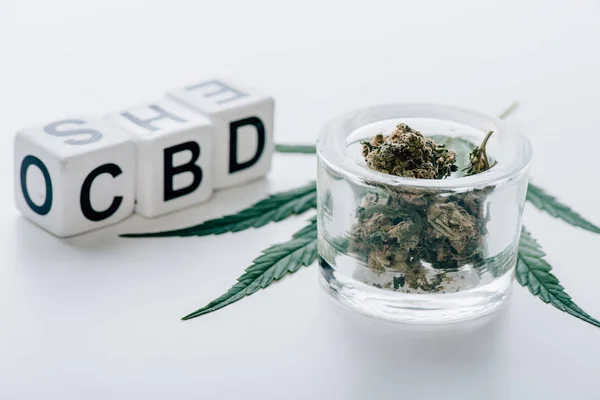 Cubos con letras cbd, cannabis medicinal y marihuana sobre fondo blanco - foto de stock