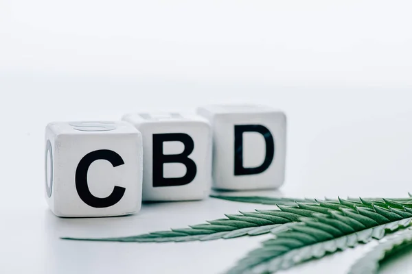 Cubes with lettering cbd and marijuana on white background — Stock Photo