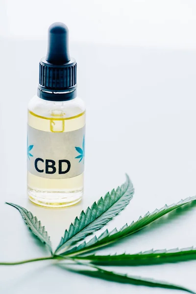 Óleo de cannabis em garrafa com letras cbd e maconha no fundo branco — Fotografia de Stock