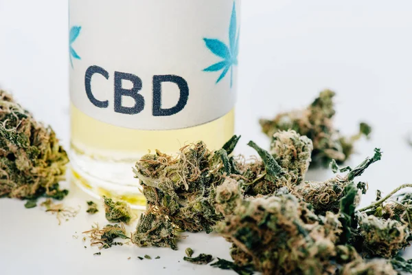 Aceite de cannabis en botella con letras cbd y cannabis medicinal sobre fondo blanco - foto de stock