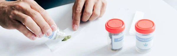 Tiro panorâmico de homem bonito derramando cannabis medicinal — Fotografia de Stock