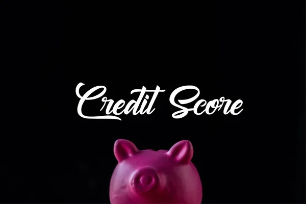 Salvadanaio rosa vicino al punteggio di credito lettering su nero — Foto stock
