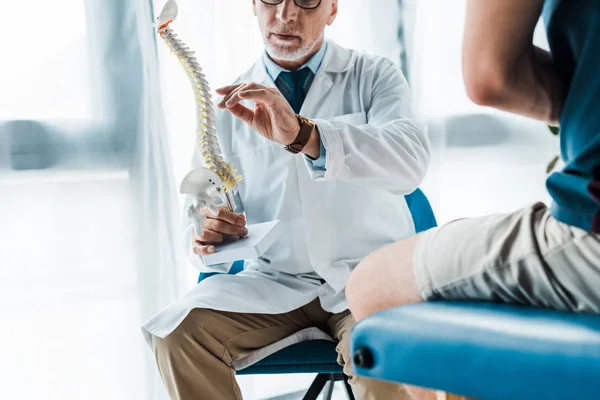 Abgeschnittene Ansicht eines Mannes, der neben einem Arzt sitzt und gestikuliert, während er ein Wirbelsäulenmodell hält — Stockfoto