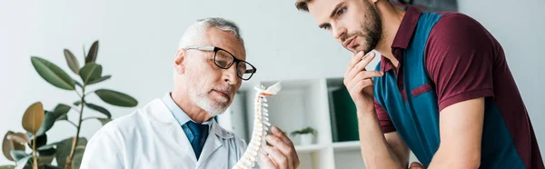 Tiro panorâmico do homem olhando para o modelo da coluna vertebral perto do médico — Fotografia de Stock