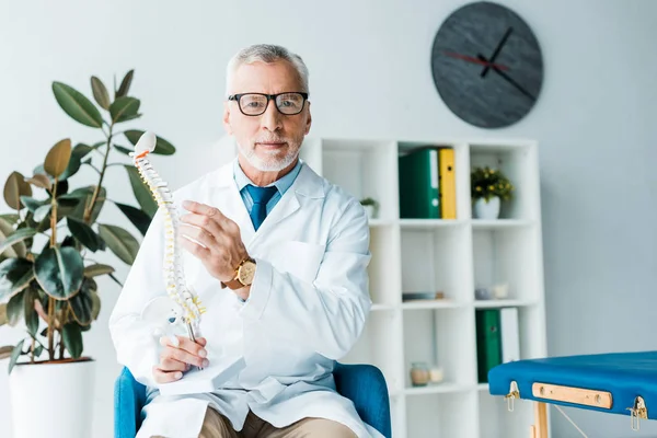 Medico barbuto in occhiali e cappotto bianco con modello di colonna vertebrale in clinica — Foto stock