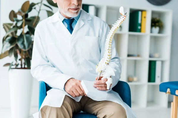 Ausgeschnittene Ansicht eines bärtigen Arztes im weißen Mantel mit Wirbelsäulenmodell in der Klinik — Stockfoto