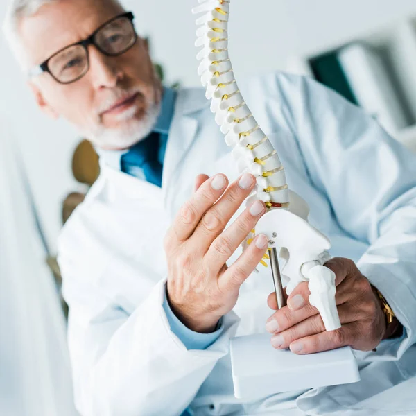 Selective focus of bearded doctor in white coat holding spine model in clinic — Stock Photo