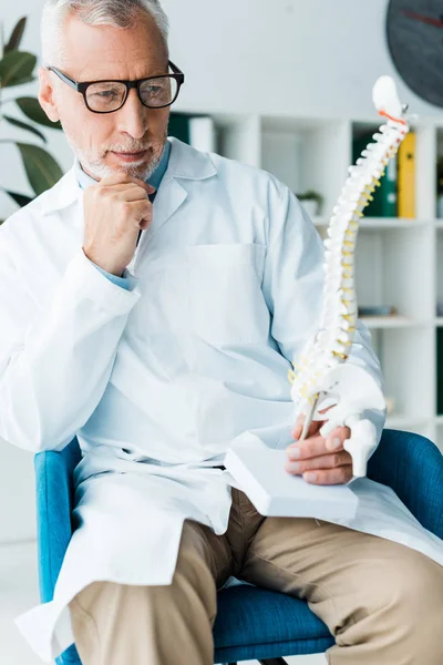 Médico pensativo en bata blanca sosteniendo modelo de columna vertebral en la clínica - foto de stock
