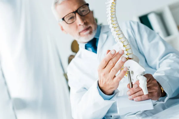 Messa a fuoco selettiva del medico nel modello bianco di colonna vertebrale in clinica — Foto stock
