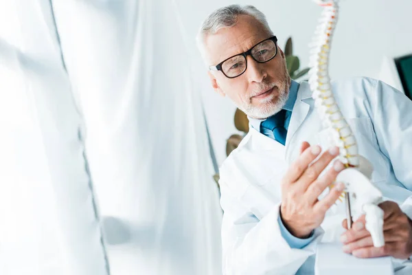 Enfoque selectivo del médico en bata blanca y gafas que sostienen el modelo de columna vertebral en la clínica - foto de stock