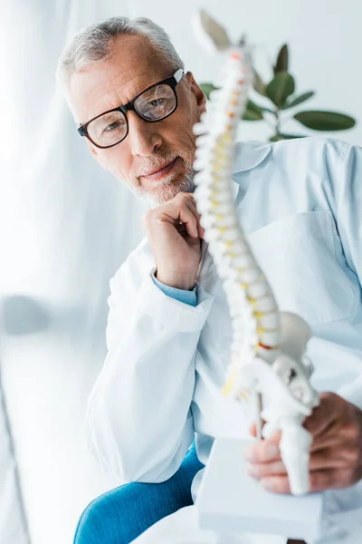 Enfoque selectivo de médico feliz en bata blanca y gafas que sostienen el modelo de columna vertebral en la clínica - foto de stock