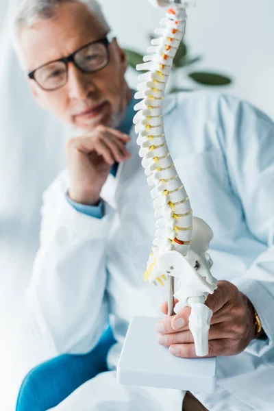 Selective focus of spine model in hand of happy doctor in white coat and glasses — Stock Photo