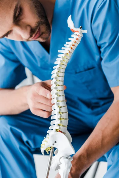 Close up of bearded doctor looking at spine model — Stock Photo