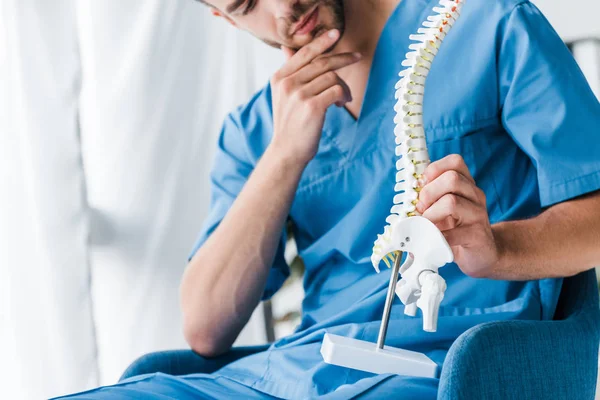 Vista recortada del médico barbudo sosteniendo el modelo de columna vertebral mientras está sentado en el sillón - foto de stock