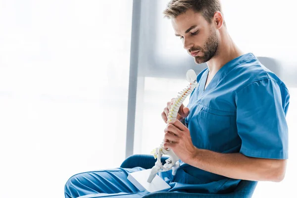Handsome doctor looking at spine model while sitting in armchair — Stock Photo