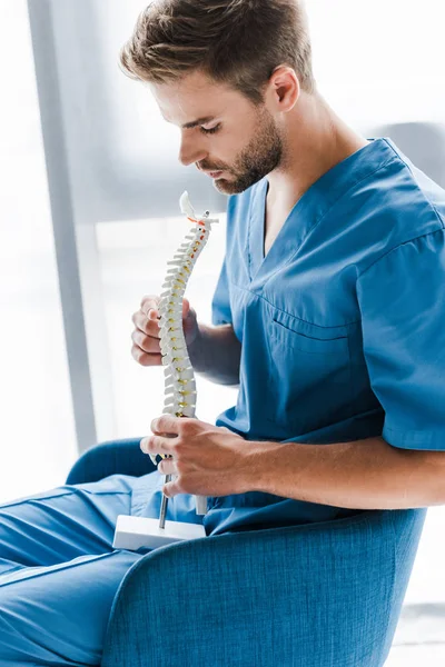 Guapo barbudo médico mirando el modelo de columna vertebral mientras está sentado en sillón - foto de stock