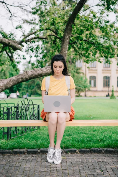 Привлекательная молодая женщина сидит на скамейке и использует ноутбук — стоковое фото