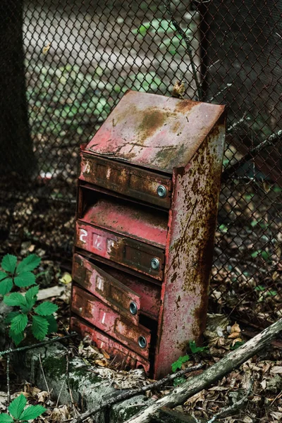 Retro and rusty mail box near green leaves — Stock Photo