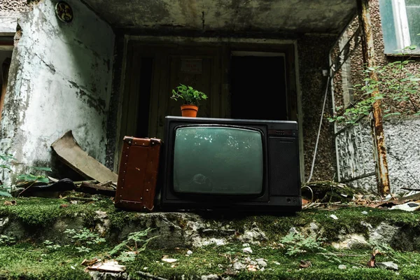 Ретро телевізор біля дорожньої сумки на зелених сходах з цвіллю — стокове фото