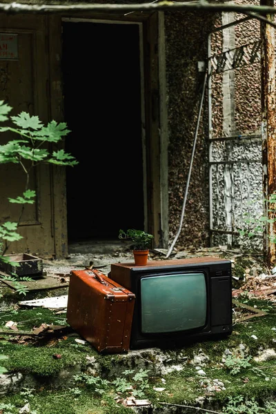 Ретро-телевизор рядом с чемоданом на зеленой лестнице с плесенью — стоковое фото