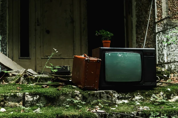 Retro-Fernseher in der Nähe von Vintage-Koffer auf grünen Treppen mit Schimmel — Stockfoto