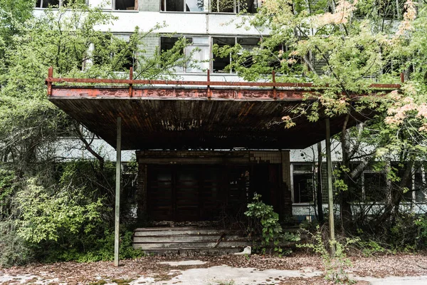 Abandoned building near green trees with leaves in chernobyl — Stock Photo