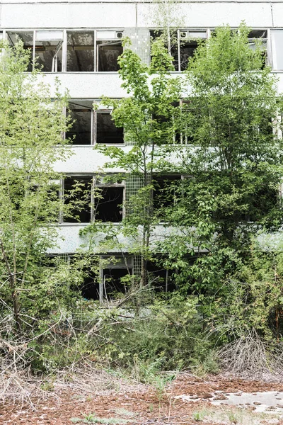 Edificio abbandonato vicino a alberi verdi a Chernobyl — Foto stock