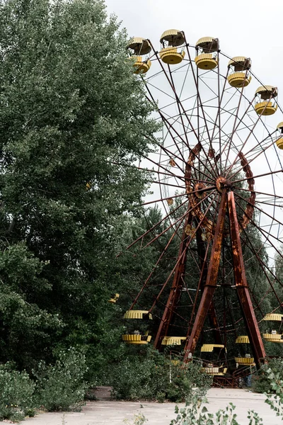 PRIPYAT, UKRAINE - AUGUST 15, 2019: abandoned and rusty ferris wheel in green amusement park with trees — Stock Photo