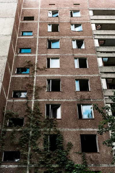 Vista a basso angolo di muffa verde su edificio marrone abbandonato a Chernobyl — Foto stock