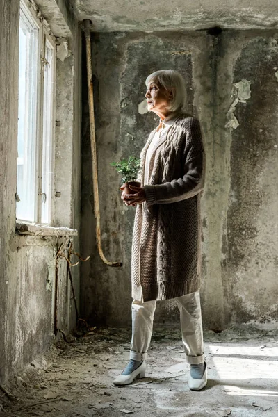 Старша жінка тримає маленьку рослину в горщику в порожній кімнаті — стокове фото
