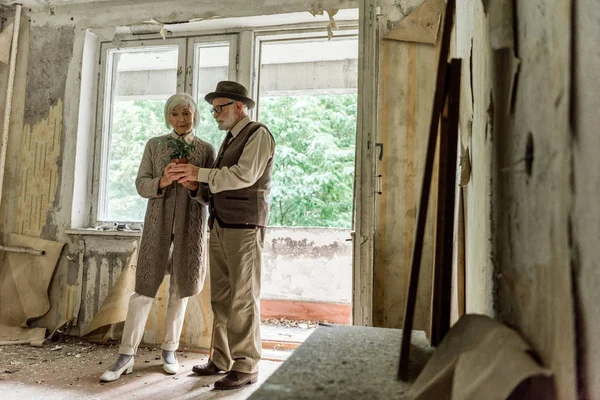 Selective focus of retired man and woman holding small plant in dirty room in chernobyl — Stock Photo