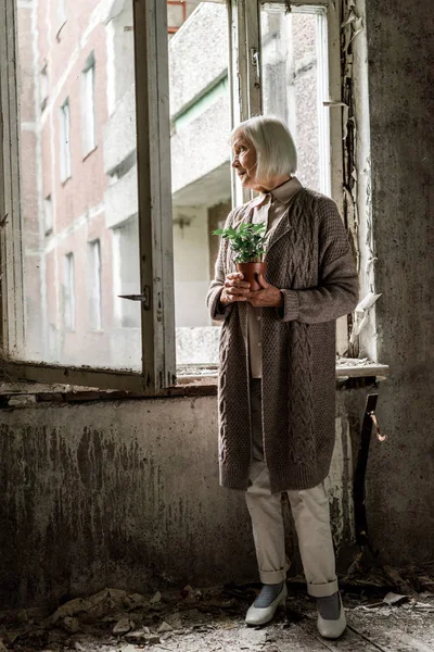 Mulher sênior segurando planta no pote no quarto vazio perto de janelas — Fotografia de Stock