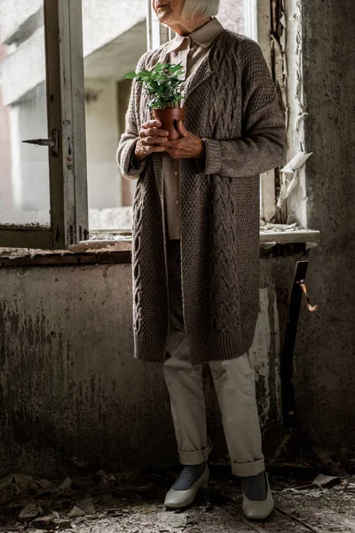 Vue recadrée d'une femme âgée tenant une plante debout dans une pièce près des fenêtres — Photo de stock