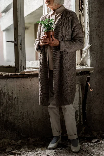 Cropped view of senior woman holding plant while standing in room near windows — Stock Photo