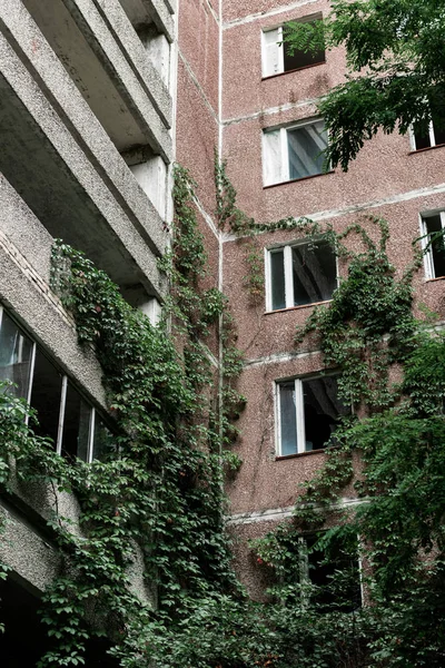 Vue à angle bas du bâtiment abandonné avec des feuilles vertes envahies à Tchernobyl — Photo de stock