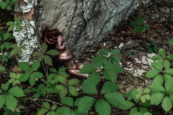 Overhead view of burnt baby doll near green leaves and tree trunk in chernobyl — Stock Photo