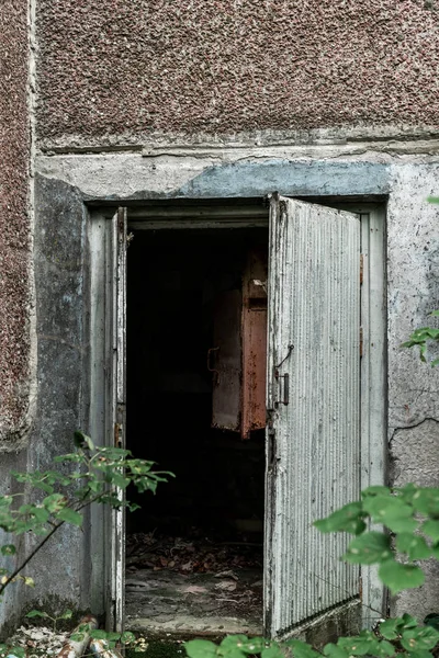 Foco seletivo de madeira porta aberta perto de folhas verdes — Fotografia de Stock