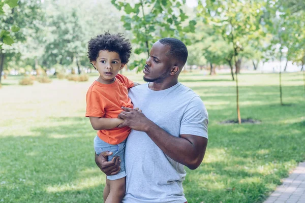 Guapo africano americano holding adorable hijo mientras caminando en parque - foto de stock