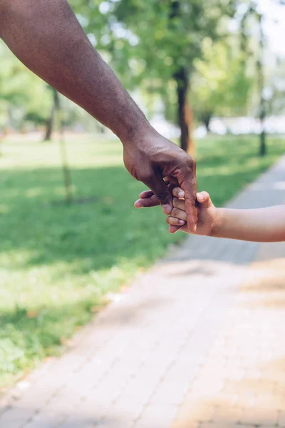 Vista recortada del padre y el hijo afroamericanos tomados de la mano mientras caminan en el parque - foto de stock