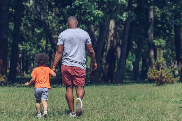 Visão traseira do pai e filho afro-americanos de mãos dadas enquanto caminhava no parque — Fotografia de Stock