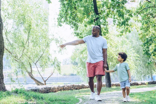 Joven afroamericano padre apuntando con el dedo mientras caminando con adorable hijo en parque - foto de stock