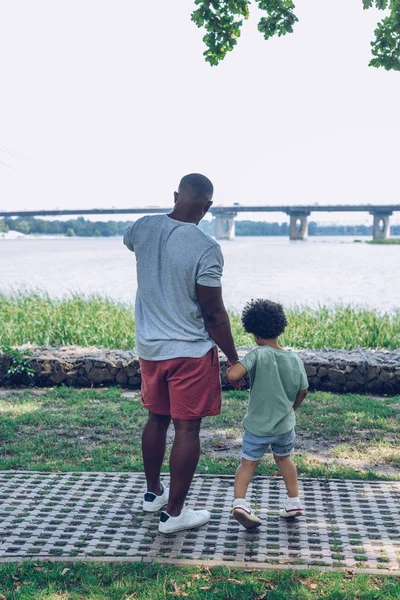 Vista trasera del padre y el hijo afroamericanos mirando el río mientras caminan en el parque - foto de stock