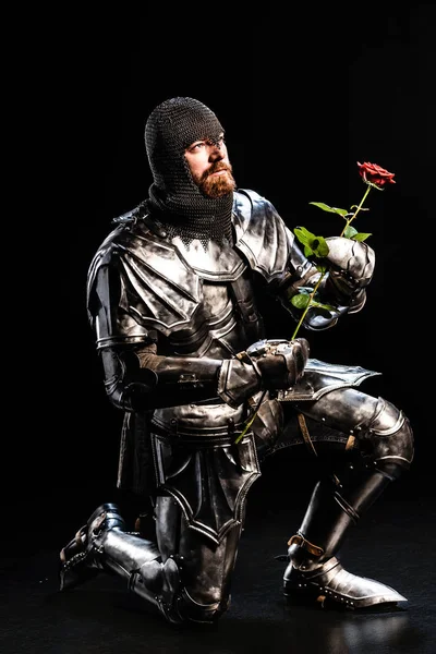 Красивий лицар в обладунках тримає троянду і згинає коліно на чорному тлі — стокове фото