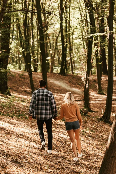 Vue arrière du jeune couple tenant la main tout en marchant dans le parc — Photo de stock