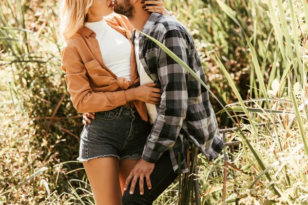 Corte vista de homem em xadrez camisa abraçando namorada em moita de sedge — Fotografia de Stock