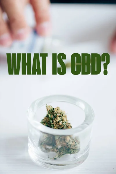 Foyer sélectif des bourgeons de marijuana médicale dans une bouteille en verre avec ce qui est question CBD — Photo de stock