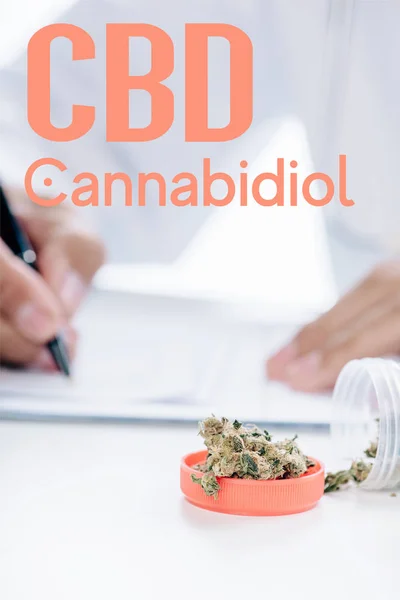Selektiver Fokus des Behälters mit medizinischem Cannabis in der Nähe des Arztes, der Rezept schreibt und mit cbd-Abbildung — Stockfoto