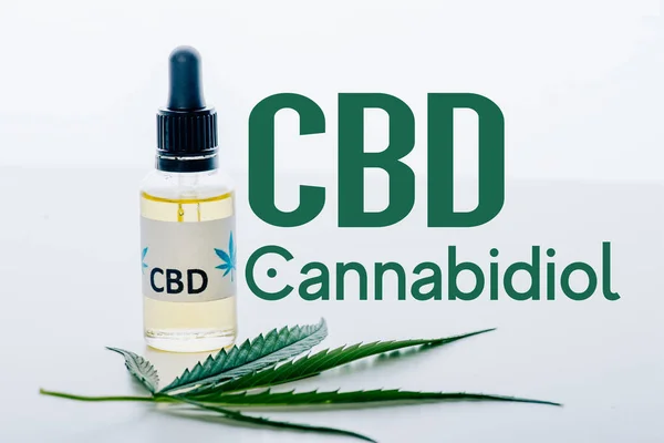 Олія КДБ в пляшці біля зеленого листя марихуани ізольовано на білому фоні з ілюстрацією КДБ — стокове фото