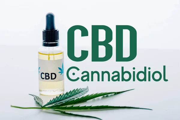 Cbd olio in bottiglia vicino foglia di marijuana verde isolato su bianco con illustrazione cbd — Foto stock